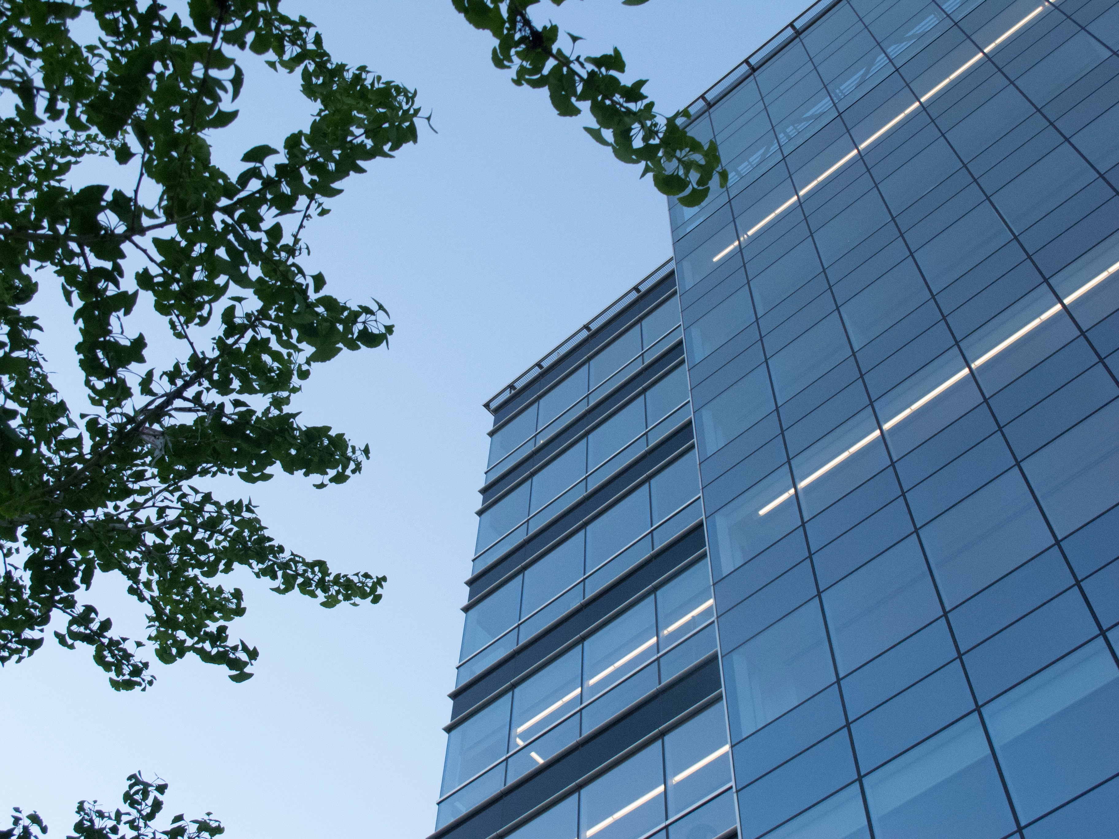 Pharmaceutical manufacturing facility — Falcon Life Sciences supply chain